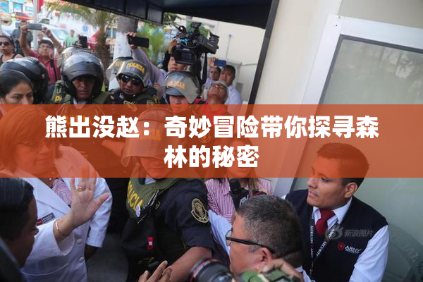 熊出没赵：奇妙冒险带你探寻森林的秘密
