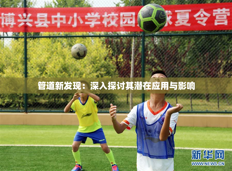 管道新发现：深入探讨其潜在应用与影响