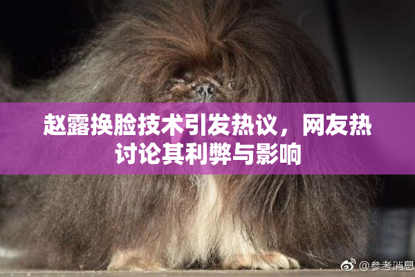 赵露换脸技术引发热议，网友热讨论其利弊与影响
