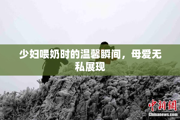 少妇喂奶时的温馨瞬间，母爱无私展现