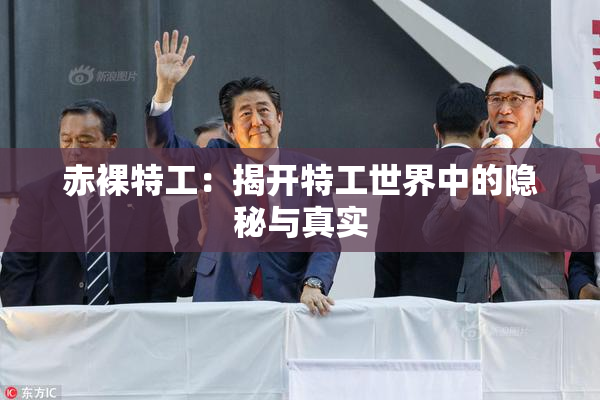 赤裸特工：揭开特工世界中的隐秘与真实
