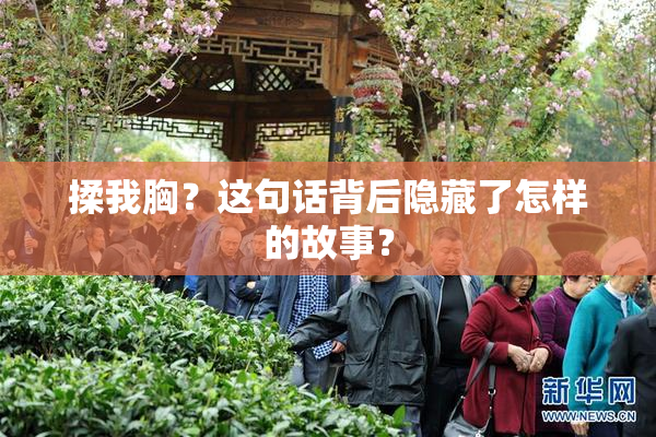 揉我胸？这句话背后隐藏了怎样的故事？