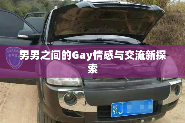 男男之间的Gay情感与交流新探索