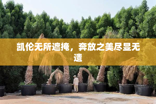 凯伦无所遮掩，奔放之美尽显无遗