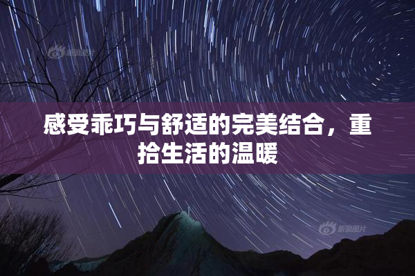 感受乖巧与舒适的完美结合，重拾生活的温暖