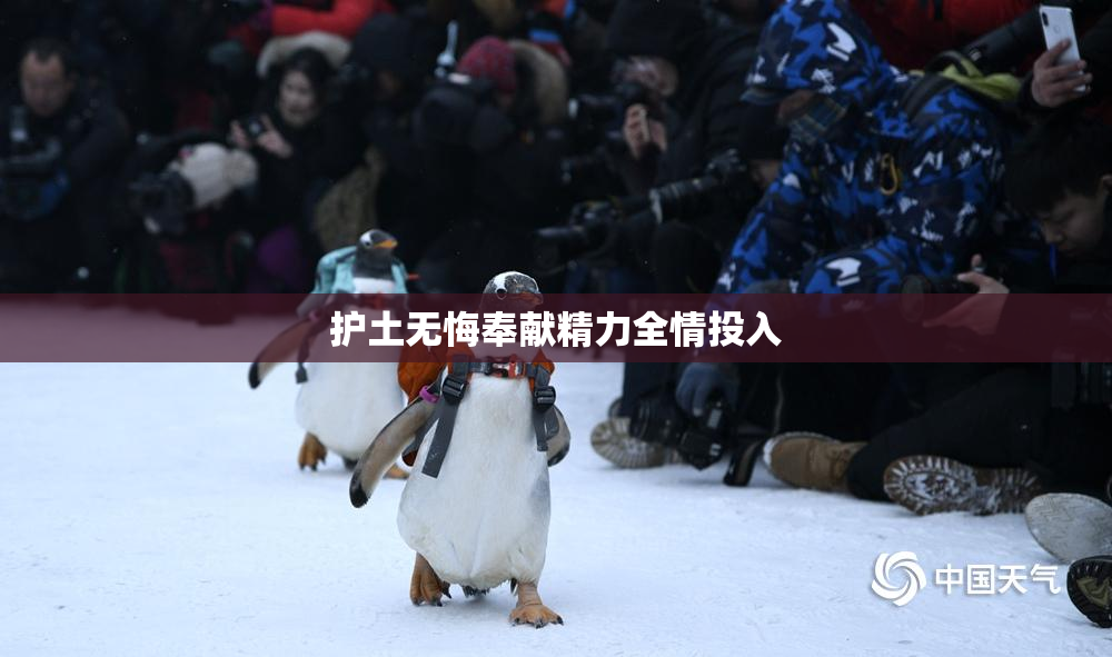 护土无悔奉献精力全情投入