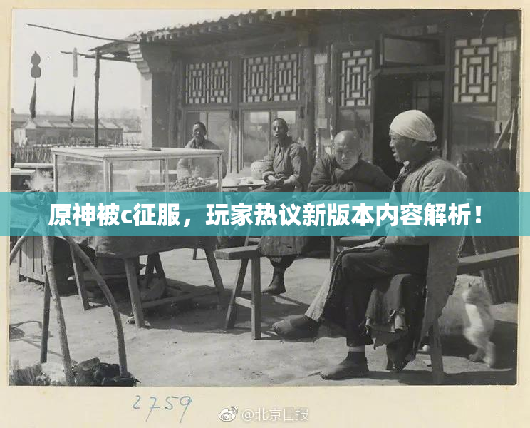 原神被c征服，玩家热议新版本内容解析！