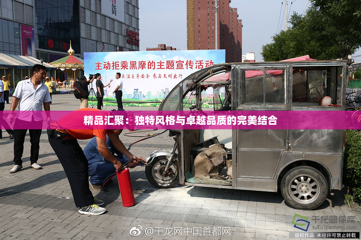 精品汇聚：独特风格与卓越品质的完美结合