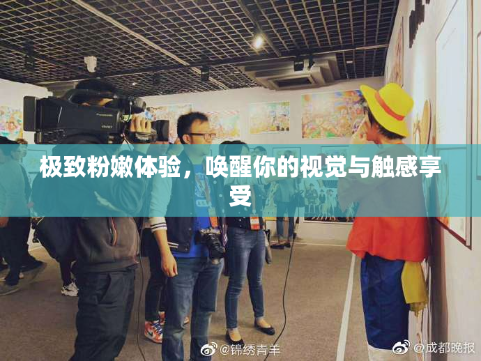 极致粉嫩体验，唤醒你的视觉与触感享受
