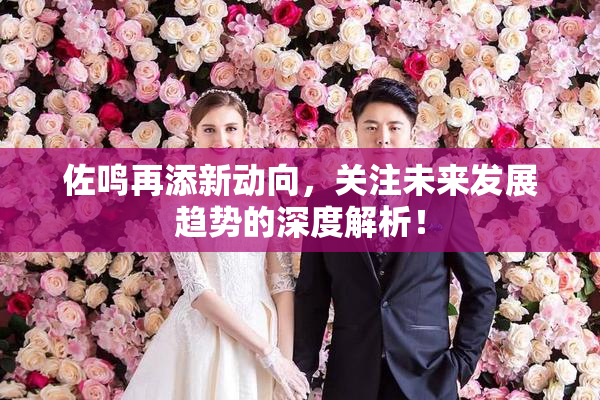 佐鸣再添新动向，关注未来发展趋势的深度解析！