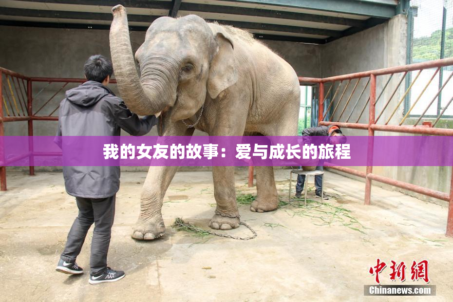 我的女友的故事：爱与成长的旅程