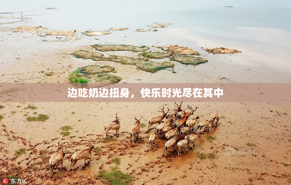 边吃奶边扭身，快乐时光尽在其中