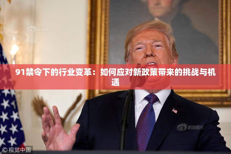 91禁令下的行业变革：如何应对新政策带来的挑战与机遇