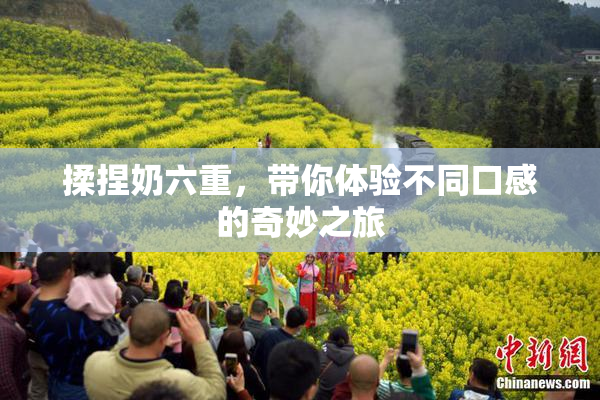 揉捏奶六重，带你体验不同口感的奇妙之旅