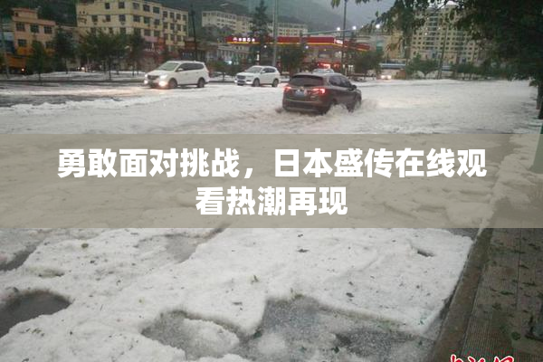 勇敢面对挑战，日本盛传在线观看热潮再现