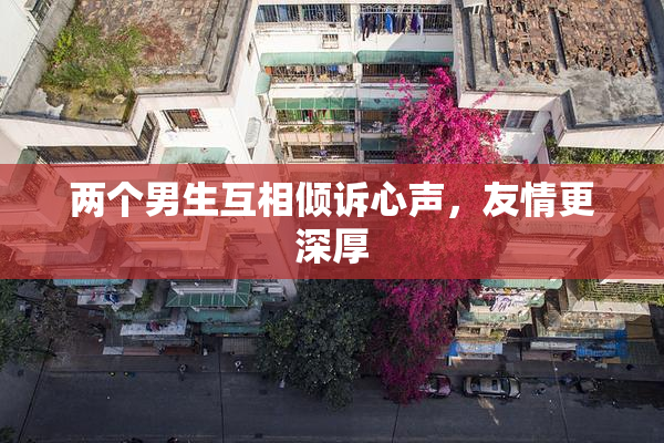 两个男生互相倾诉心声，友情更深厚
