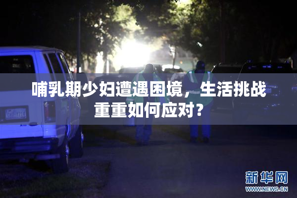 哺乳期少妇遭遇困境，生活挑战重重如何应对？