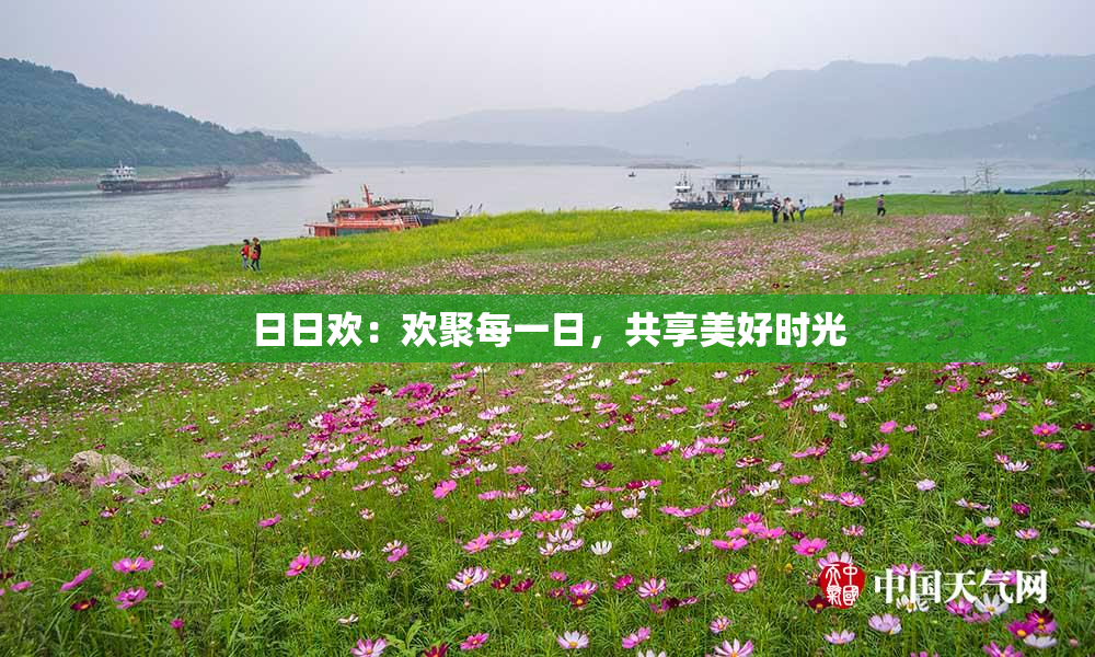日日欢：欢聚每一日，共享美好时光