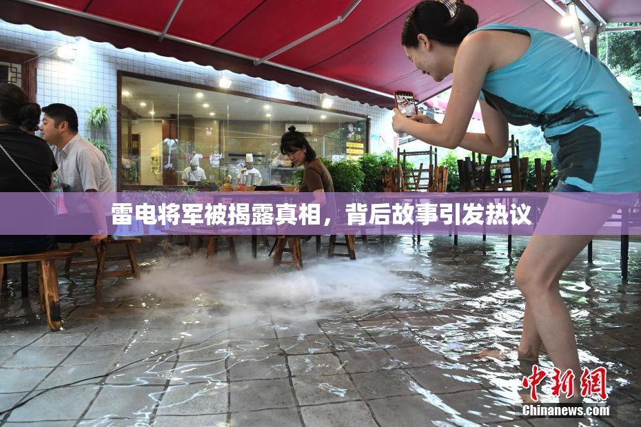 雷电将军被揭露真相，背后故事引发热议
