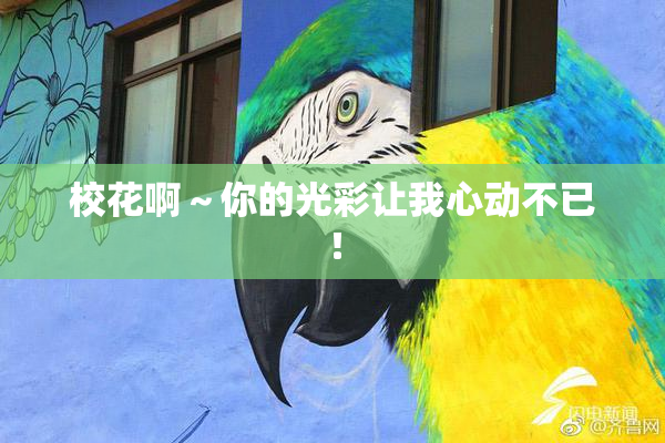 校花啊～你的光彩让我心动不已！