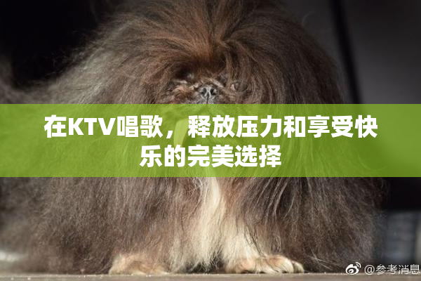 在KTV唱歌，释放压力和享受快乐的完美选择