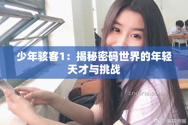 少年骇客1：揭秘密码世界的年轻天才与挑战