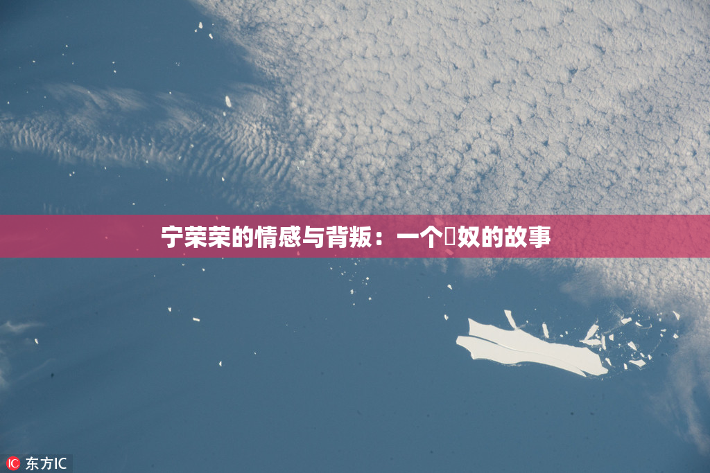 宁荣荣的情感与背叛：一个婬奴的故事