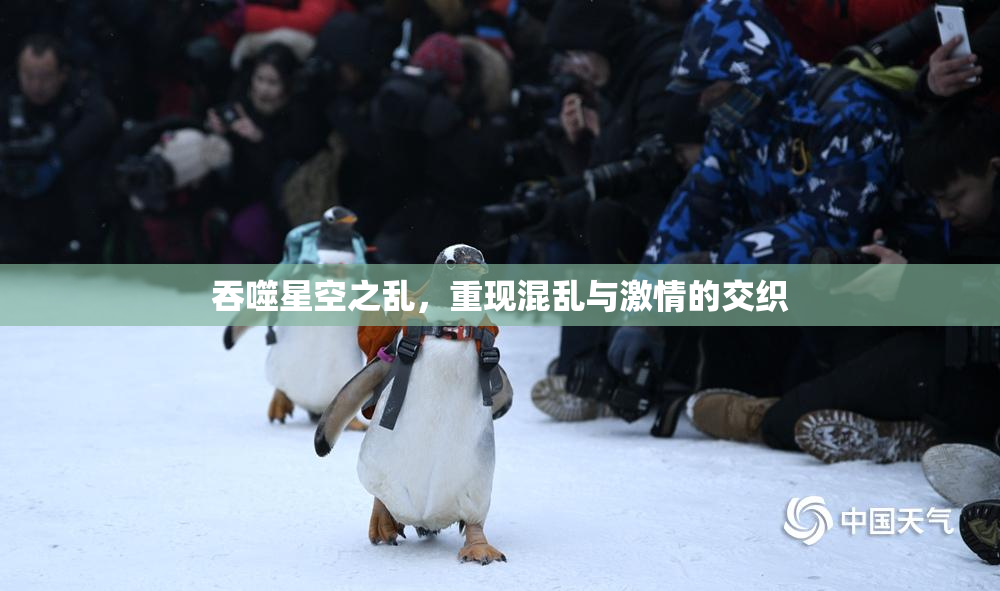 吞噬星空之乱，重现混乱与激情的交织