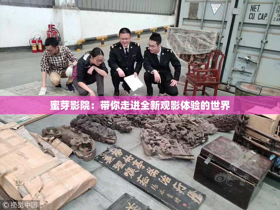 蜜芽影院：带你走进全新观影体验的世界
