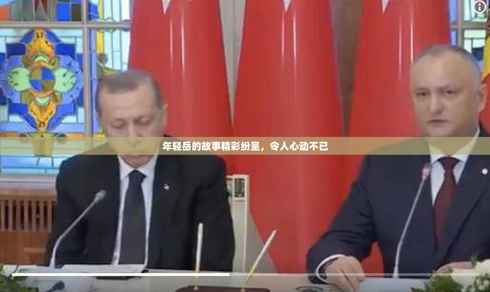 年轻岳的故事精彩纷呈，令人心动不已