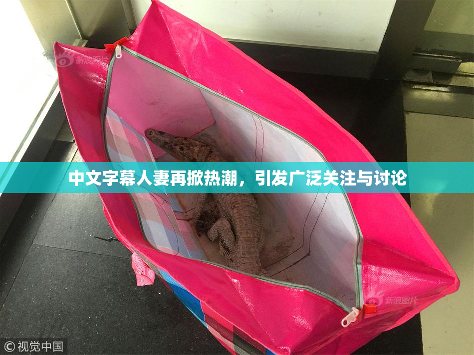 中文字幕人妻再掀热潮，引发广泛关注与讨论