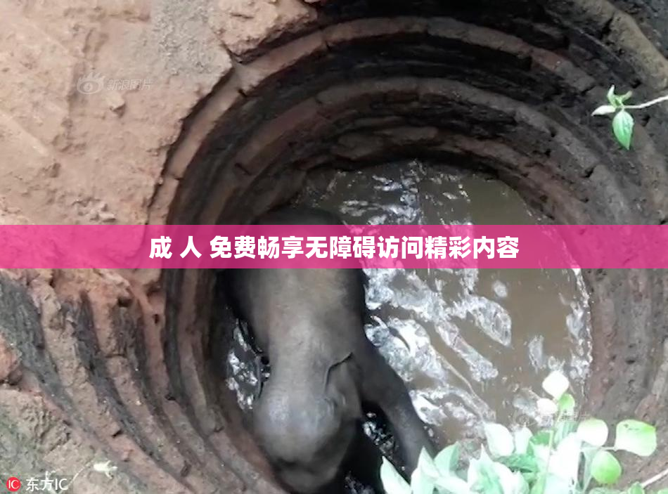 成 人 免费畅享无障碍访问精彩内容