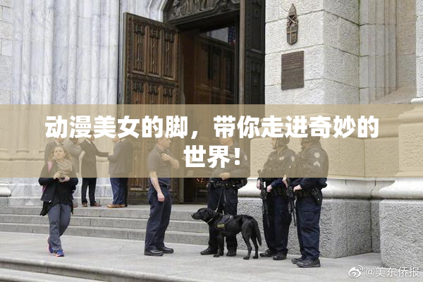 动漫美女的脚，带你走进奇妙的世界！