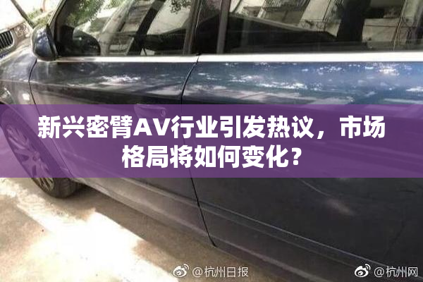 新兴密臂AV行业引发热议，市场格局将如何变化？