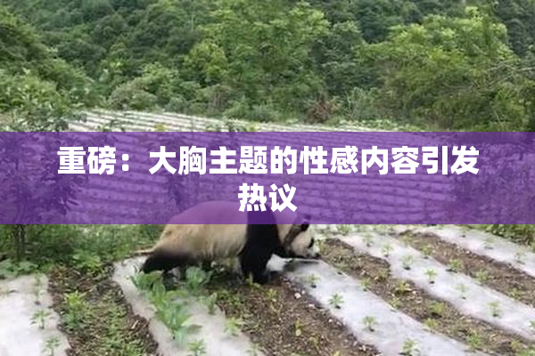 重磅：大胸主题的性感内容引发热议