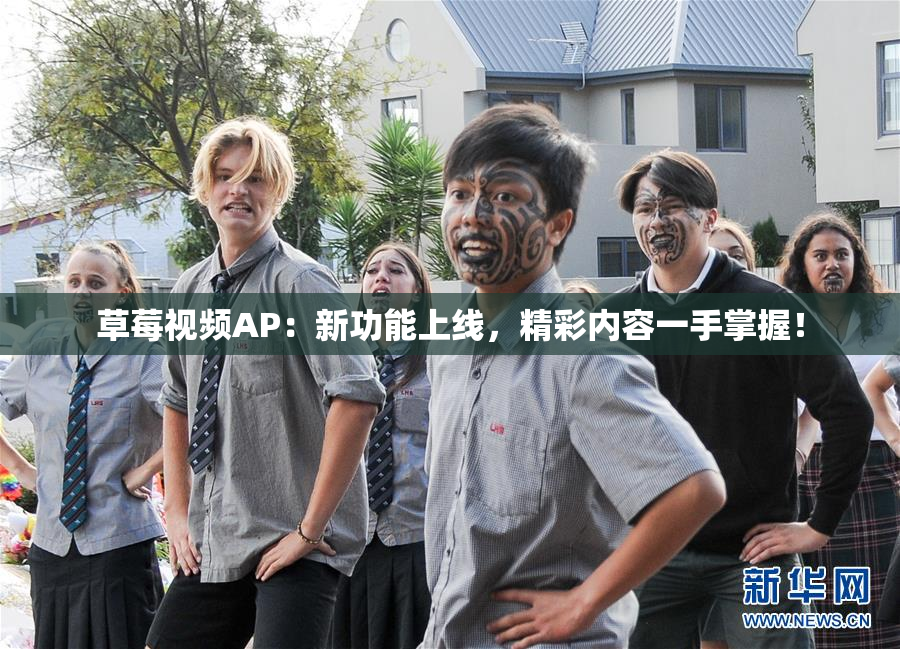 草莓视频AP：新功能上线，精彩内容一手掌握！