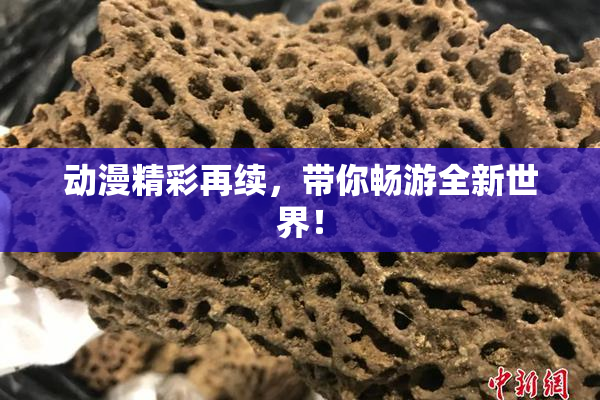 动漫精彩再续，带你畅游全新世界！