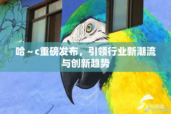 哈～c重磅发布，引领行业新潮流与创新趋势