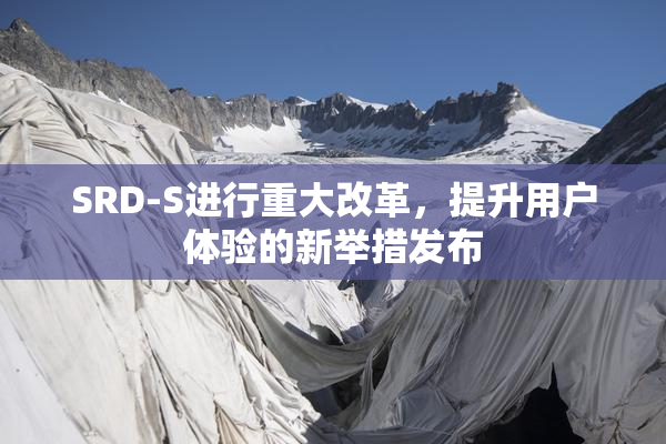SRD-S进行重大改革，提升用户体验的新举措发布
