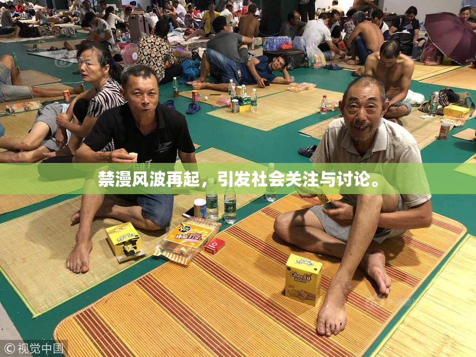 禁漫风波再起，引发社会关注与讨论。