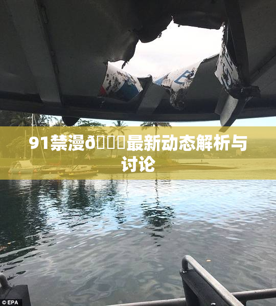 91禁漫🍆最新动态解析与讨论