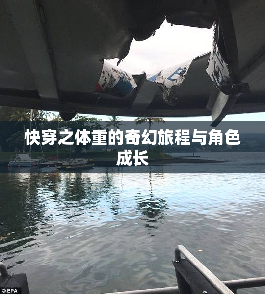 快穿之体重的奇幻旅程与角色成长