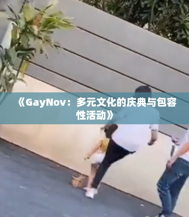 《GayNov：多元文化的庆典与包容性活动》