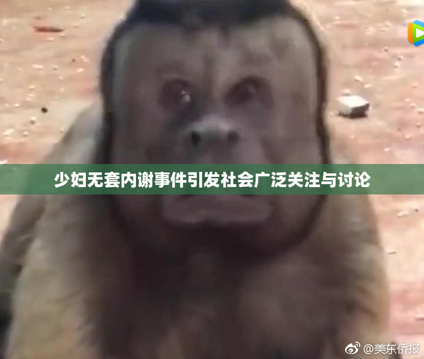 少妇无套内谢事件引发社会广泛关注与讨论