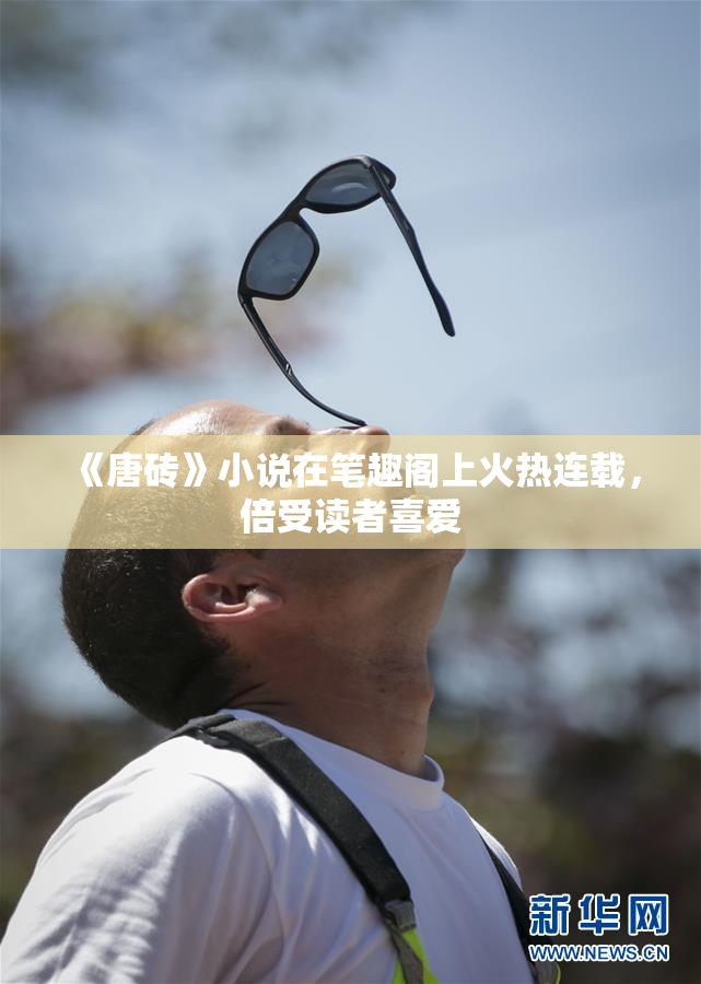 《唐砖》小说在笔趣阁上火热连载，倍受读者喜爱