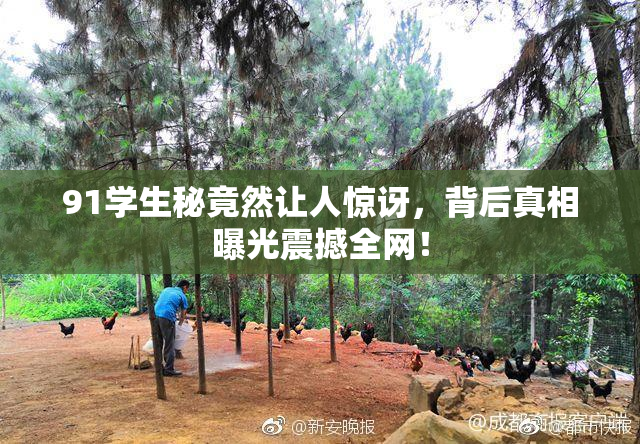 91学生秘竟然让人惊讶，背后真相曝光震撼全网！