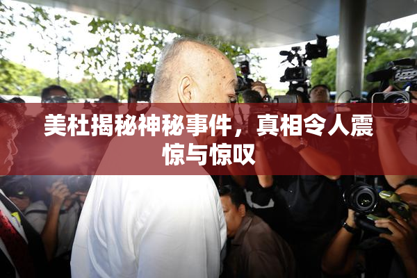 美杜揭秘神秘事件，真相令人震惊与惊叹