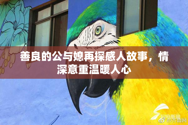 善良的公与媳再探感人故事，情深意重温暖人心