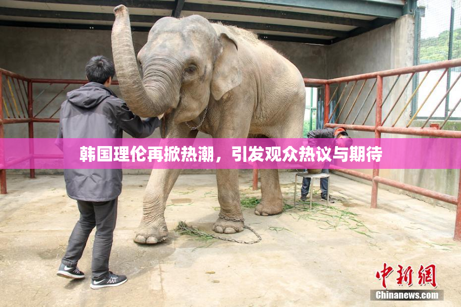 韩国理伦再掀热潮，引发观众热议与期待