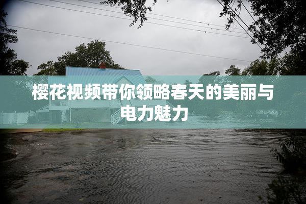 樱花视频带你领略春天的美丽与电力魅力
